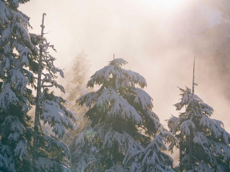 Cinematic LUTs Starter Bundle