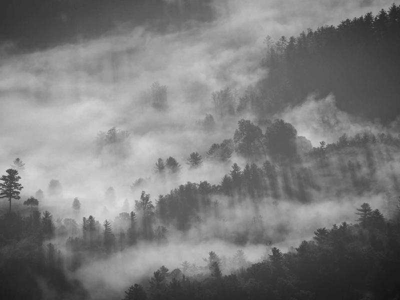 PSN Saudi Wallet 100 SAR